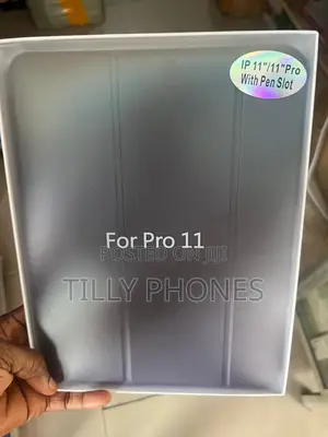 iPad Pro 11 Case