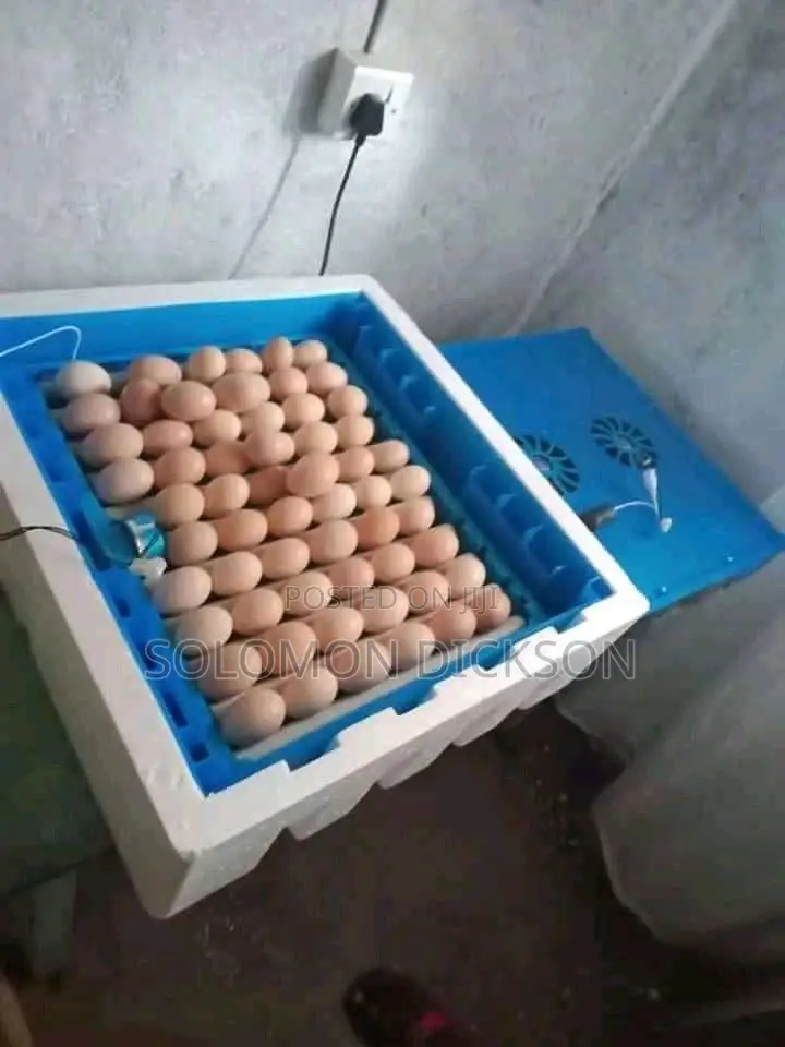 Automatic Egg Incubator