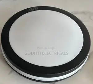 30w Ip65 Liper Light.