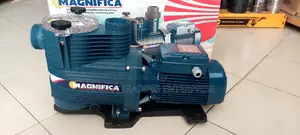 Italian Swimming Pool Pump