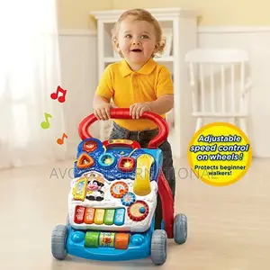 Vtech Sit-to-Stand Learning Walker