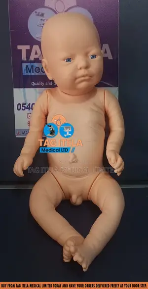 Baby Manikin Dummy (Male/Female)
