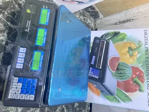 40kg Digital Price Computing Scale