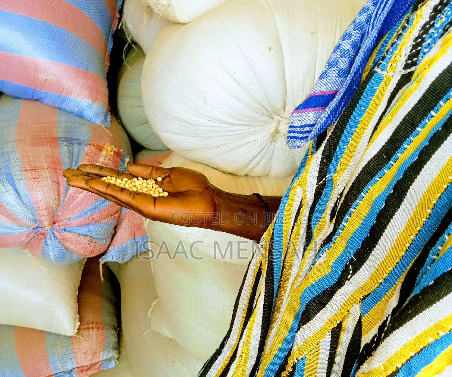 Soya Beans Available Per Bag