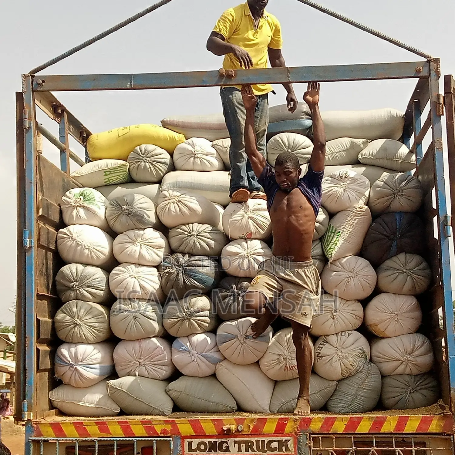 Soya Beans Available Per Bag