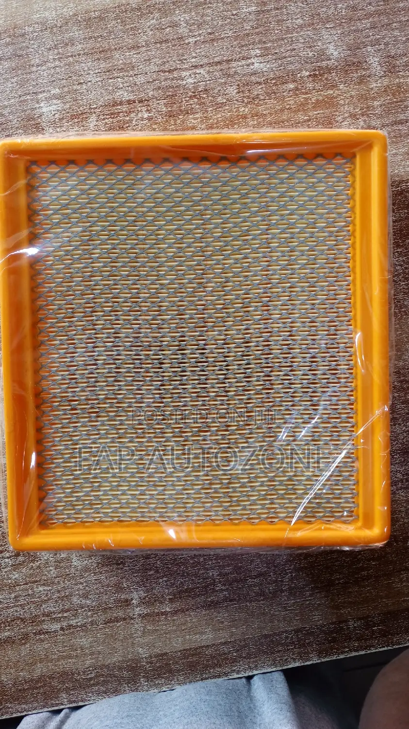01517. Original Air Filter for Chevy, GMC From Usa Wa10256