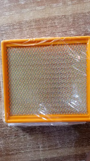 01517. Original Air Filter for Chevy, GMC From Usa Wa10256