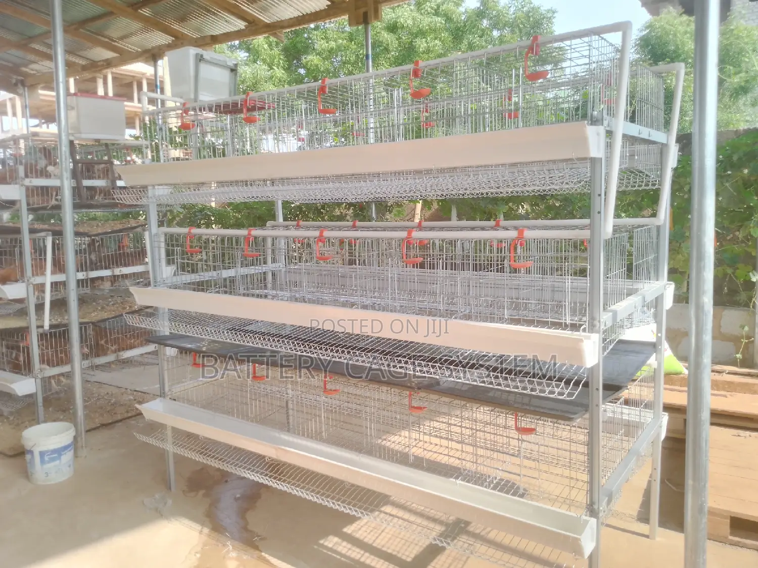 Chicken(Layers) Cage