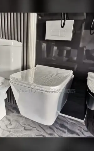 Concealed Toilet Seats
