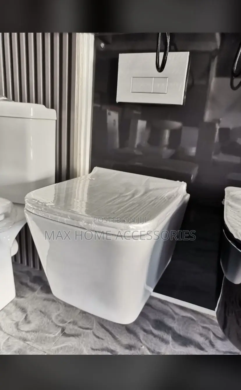 Concealed Toilet Seats