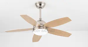 42" Ceiling Fan With Light