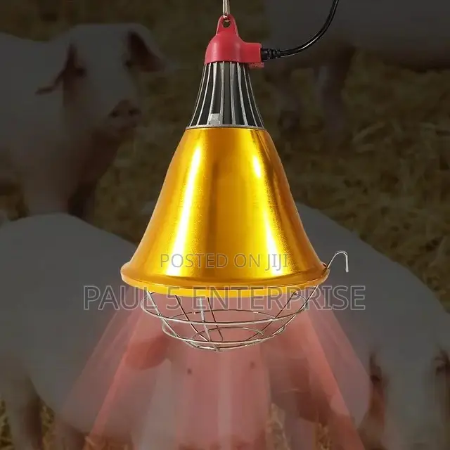 Wholesale and Retail Infarred Heater Brooder Lamp