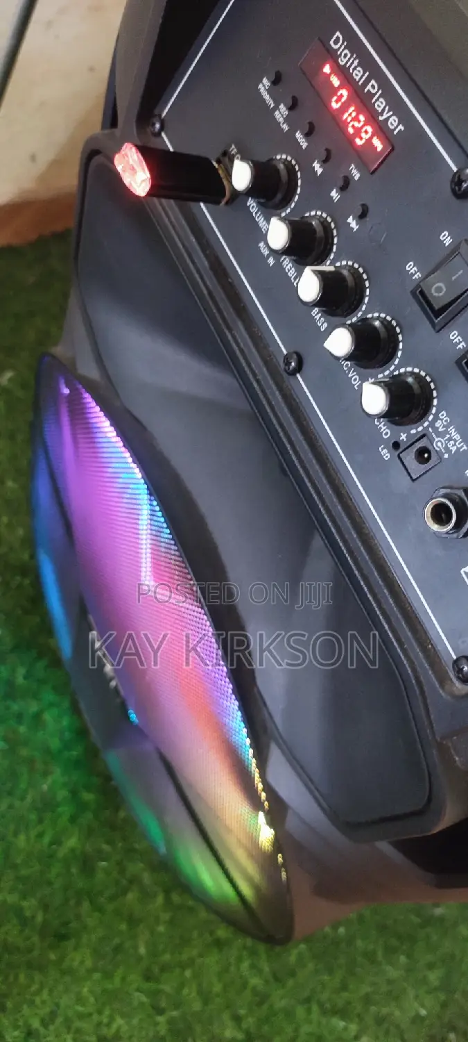 Speaker With Wireless Microphone for Rent