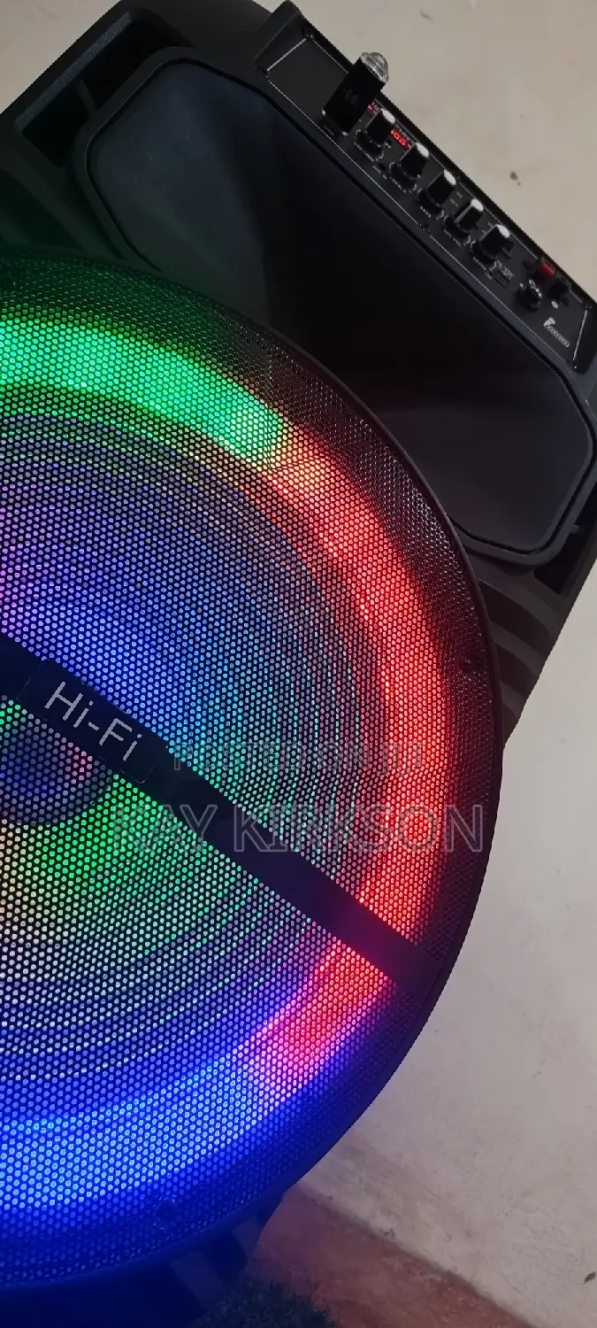 Speaker With Wireless Microphone for Rent