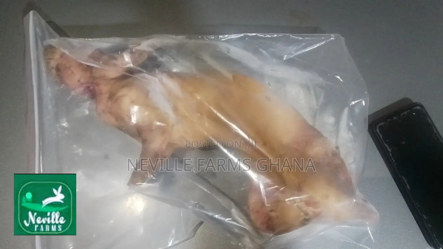 Dressed Rabbit Meat Just for You!