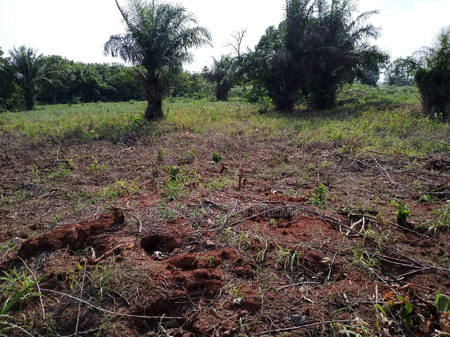 Land for Residence