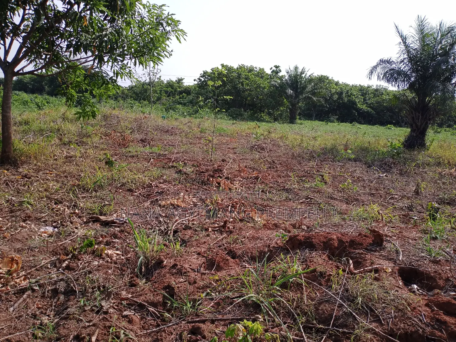 Land for Residence