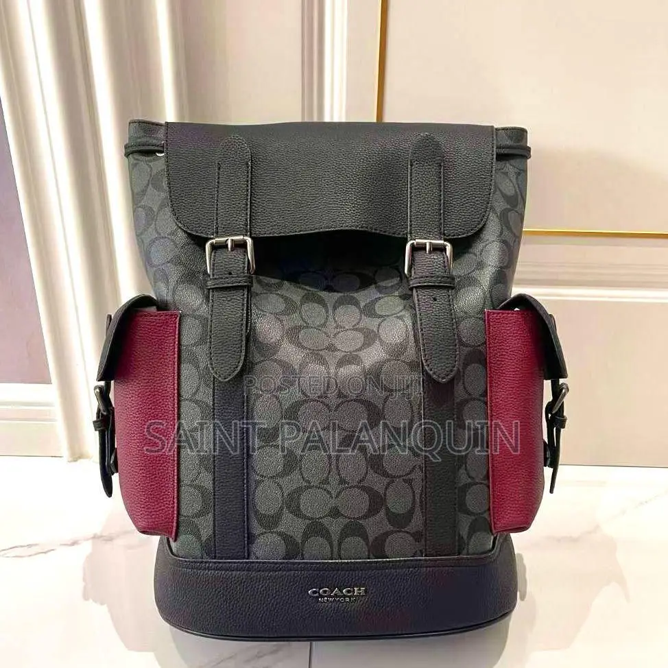 Vuitton Backpacks