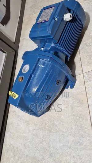 2.0hp Pedrollo Electric Italian Pump
