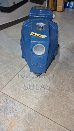 2.0hp Pedrollo Electric Italian Pump