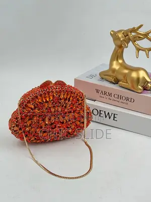 Ladies Luxury Clutch