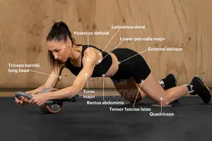 Fitness Ab Roller Wheel From Dmoose, UK