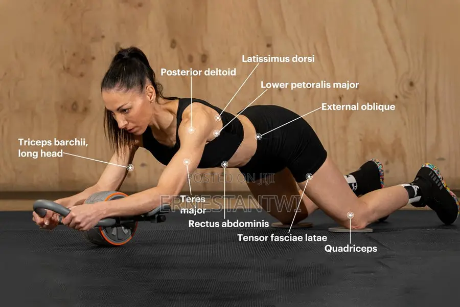 Fitness Ab Roller Wheel From Dmoose, UK