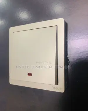 Switch (20A) Gold
