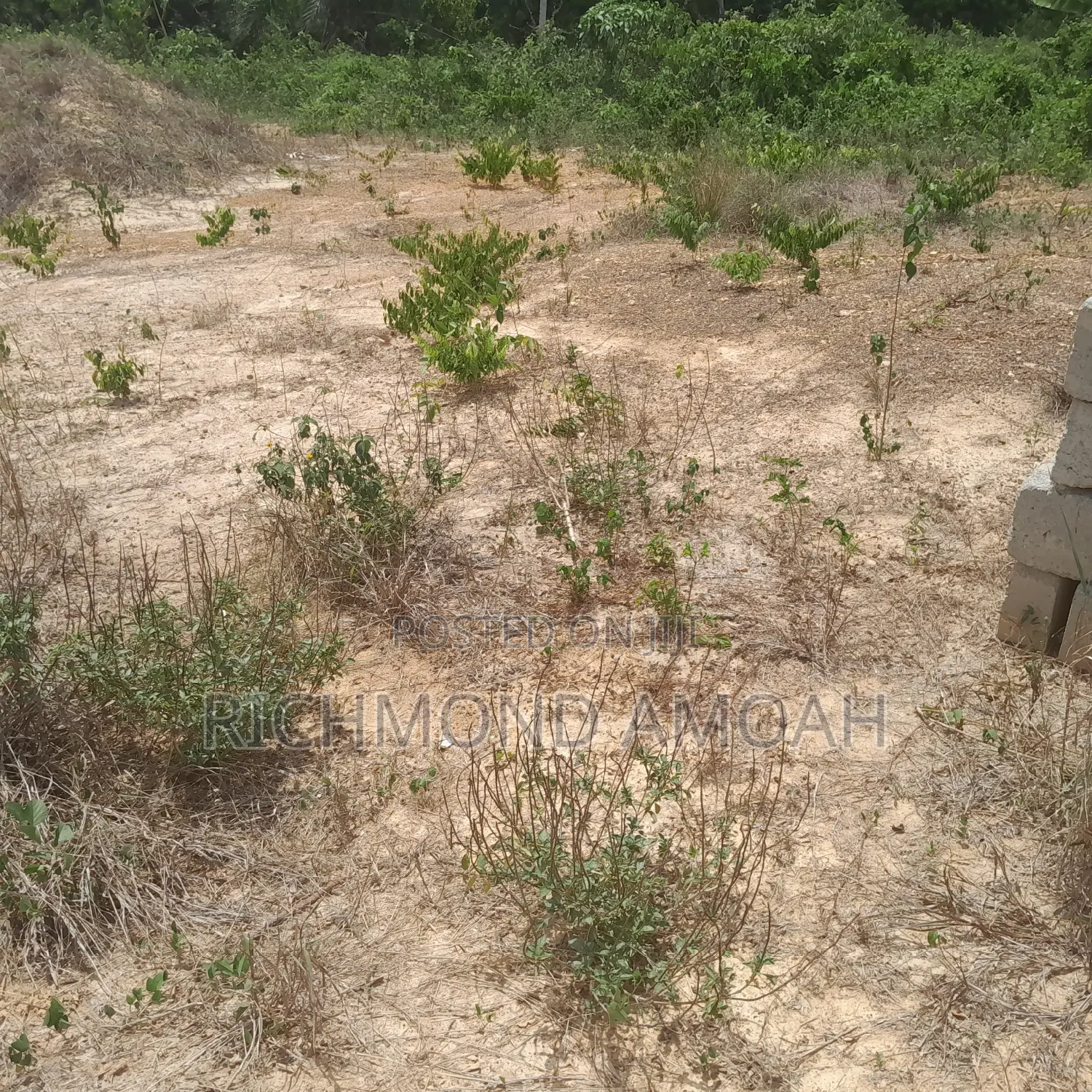 Full Plot for Sale at Queen of Peace Inside