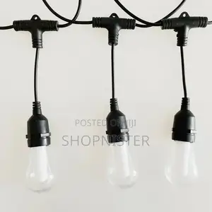 10m String Light With Bulb
