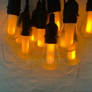 10m String Light With Bulb