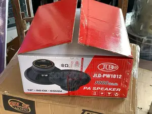 JLD Pw1012 1000watt 12inch Single Magnet Line Array Speaker