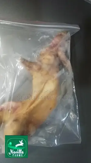 Dressed Rabbit Meat Just for You!
