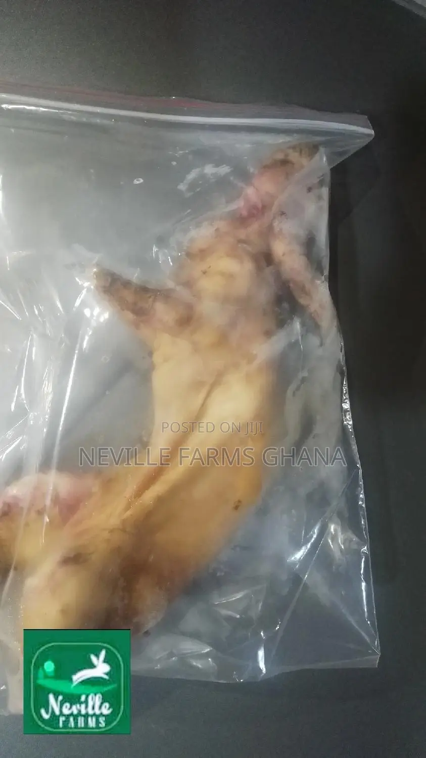 Dressed Rabbit Meat Just for You!