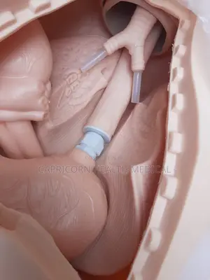 Full Body Nursing Training Adult Mannequin