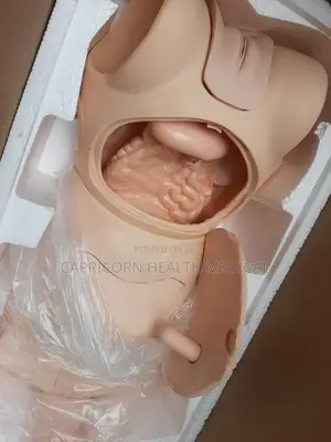 Full Body Nursing Training Adult Mannequin