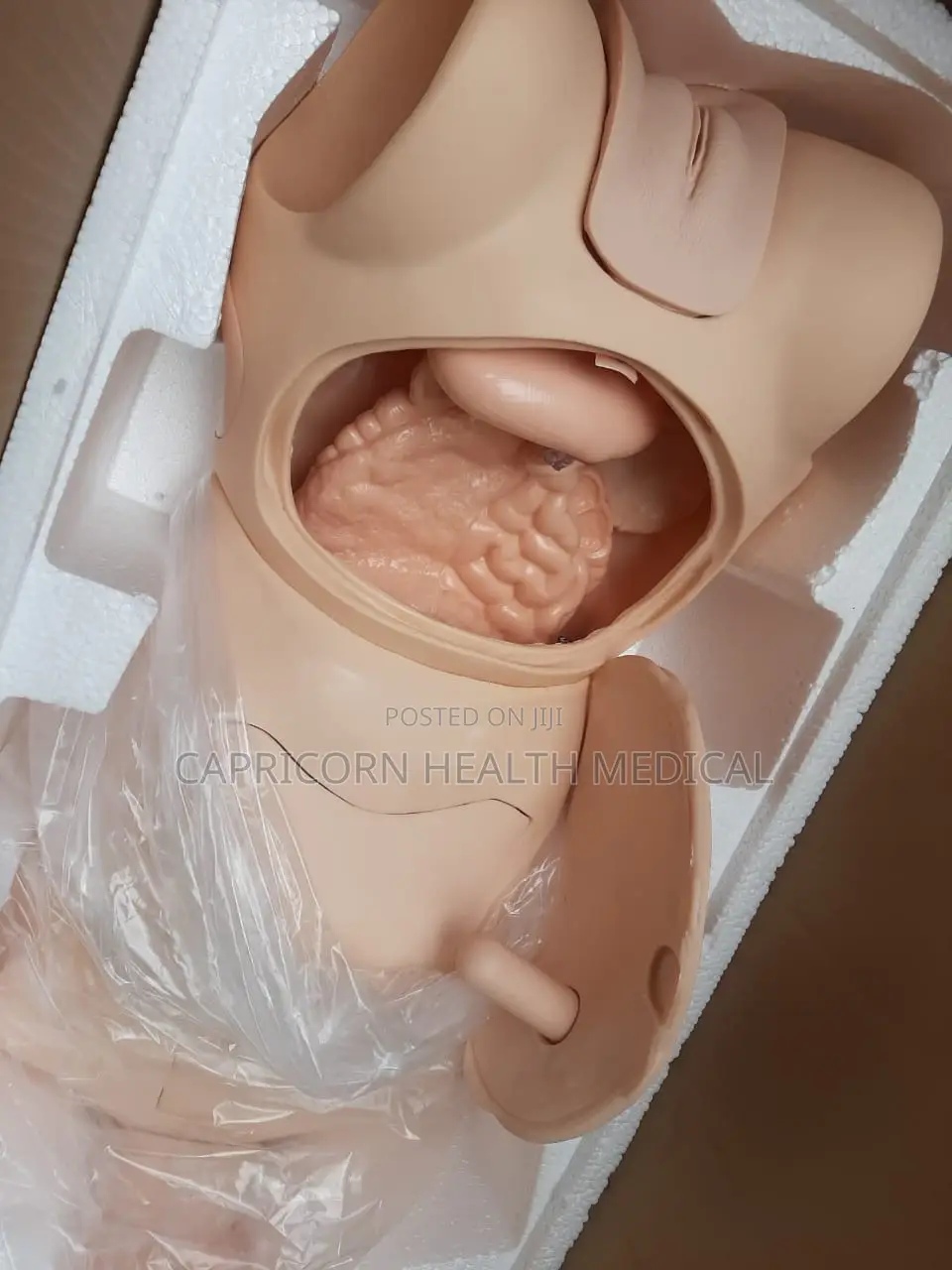 Full Body Nursing Training Adult Mannequin