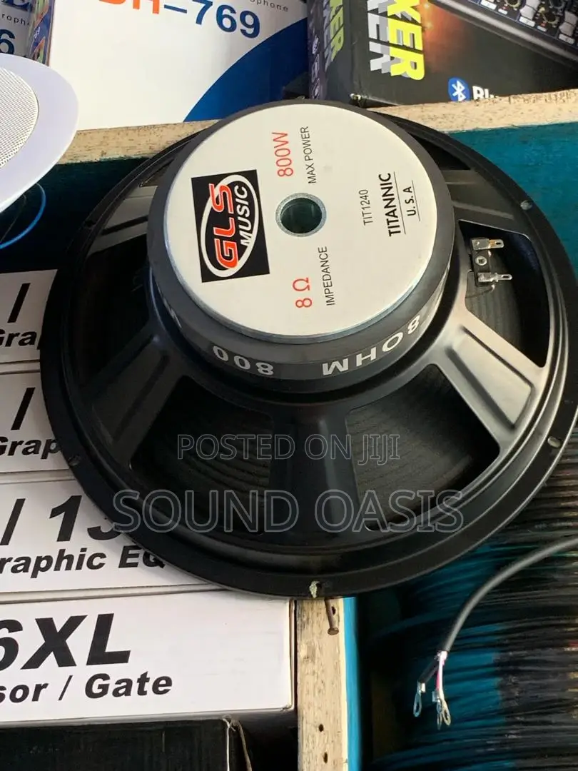 GLS 12inches 800watt Single Magnet Line Array Naked Speaker