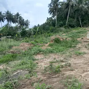 Plot for Sale at Kansa Knust