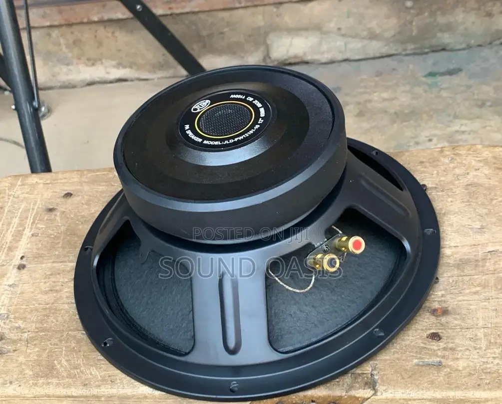 JLD-PW12101-10 12inches 1100watt Naked Line Array Speakers