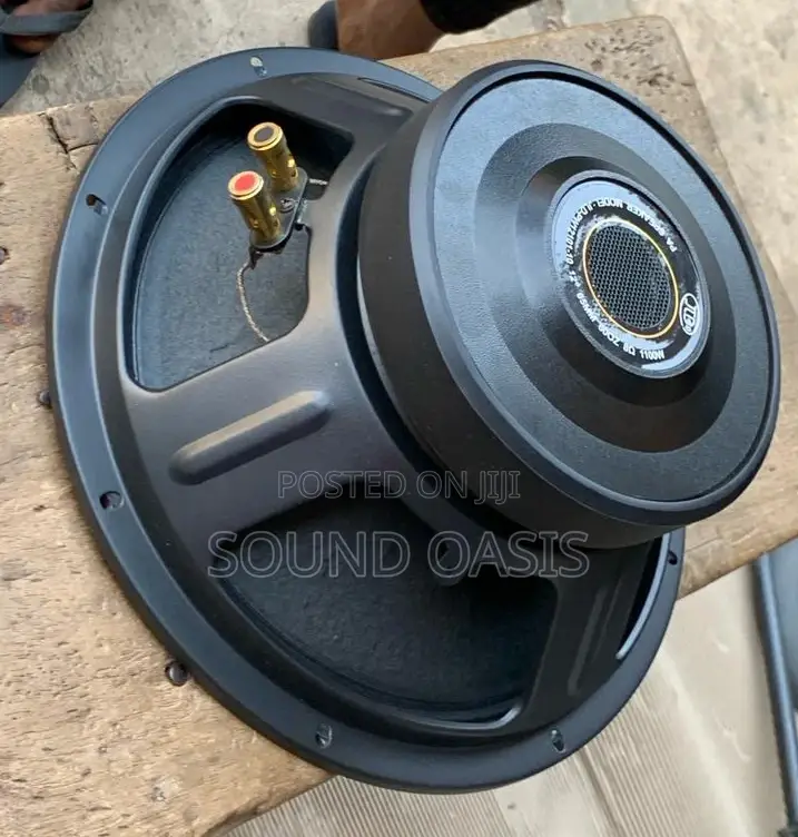 JLD-PW12101-10 12inches 1100watt Naked Line Array Speakers