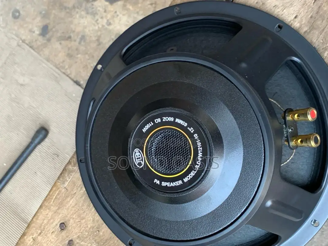 JLD-PW12101-10 12inches 1100watt Naked Line Array Speakers