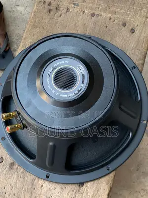 JLD-PW12101-10 12inches 1100watt Naked Line Array Speakers