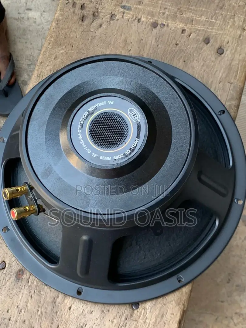JLD-PW12101-10 12inches 1100watt Naked Line Array Speakers