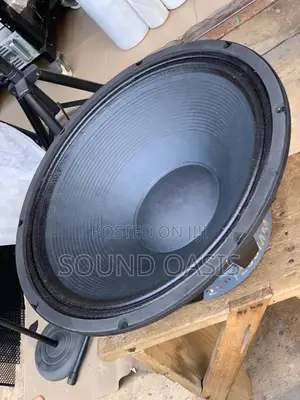 GLS 21inches Naked Speaker (2500 WATTS)
