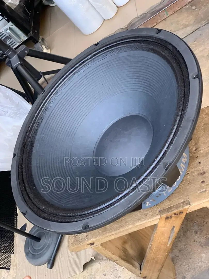GLS 21inches Naked Speaker (2500 WATTS)