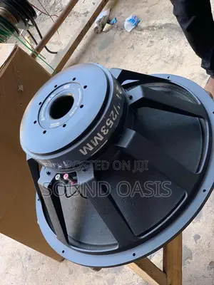 GLS 21inches Naked Speaker (2500 WATTS)