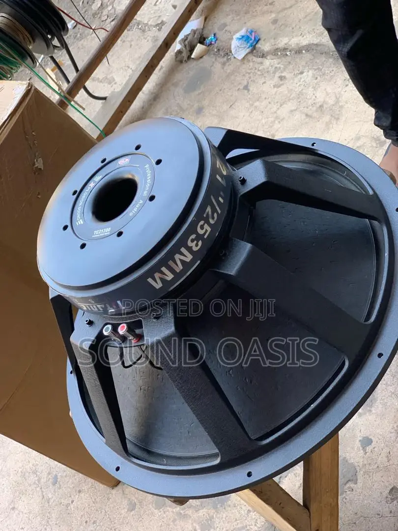 GLS 21inches Naked Speaker (2500 WATTS)