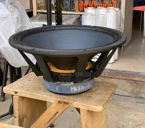 GLS 21inches Naked Speaker (2500 WATTS)