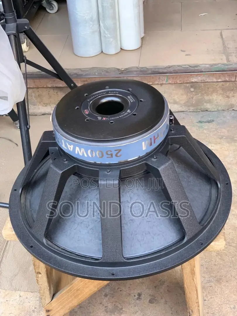 GLS 21inches Naked Speaker (2500 WATTS)